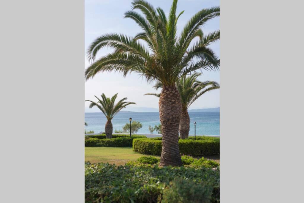 Palmaya Villa, Unique Seafront Experience Vagia  Exterior photo