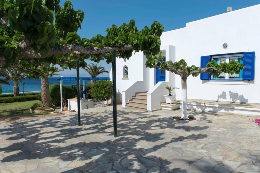 Palmaya Villa, Unique Seafront Experience Vagia  Exterior photo