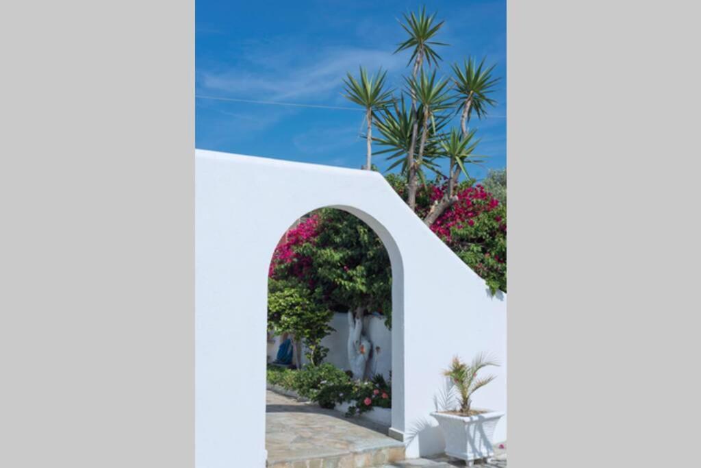 Palmaya Villa, Unique Seafront Experience Vagia  Exterior photo