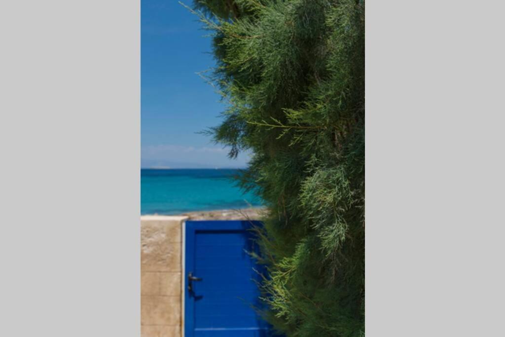 Palmaya Villa, Unique Seafront Experience Vagia  Exterior photo