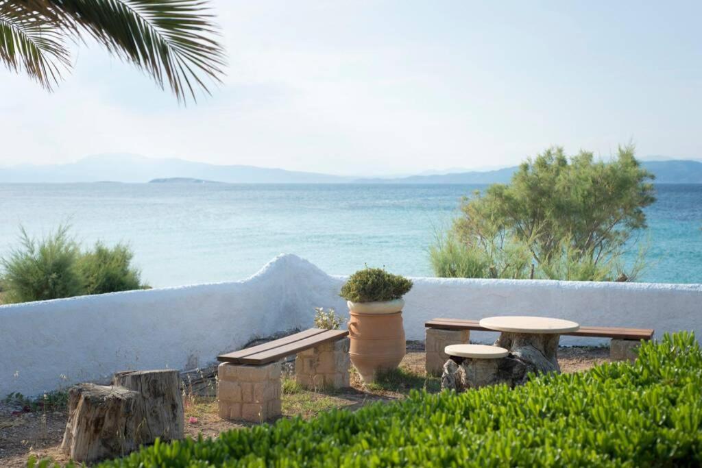 Palmaya Villa, Unique Seafront Experience Vagia  Exterior photo